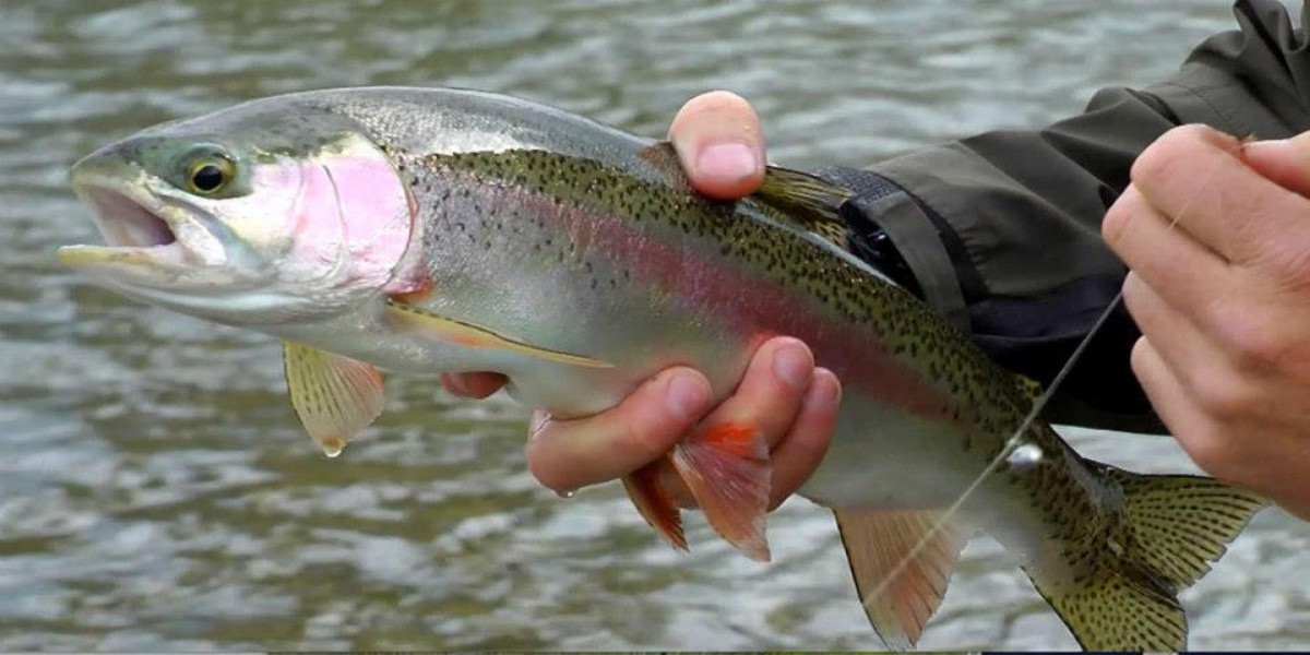 Yosemite Rivers Fly Shop Trout In Hand